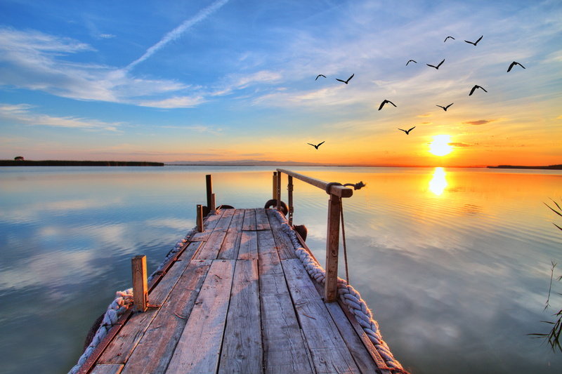 landscape, reflection, wooden, travel, seagull, summer, dock, outdoors, orange Color, beauty In Nature, vertebrate, sunrise - Dawn, animal themes, blue