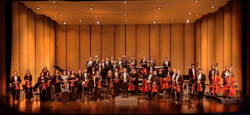 concert, stage, music, crowd, performing arts event, human limb, performance, mid adult, string instrument, orchestra, musician, auditorium, musical instrument