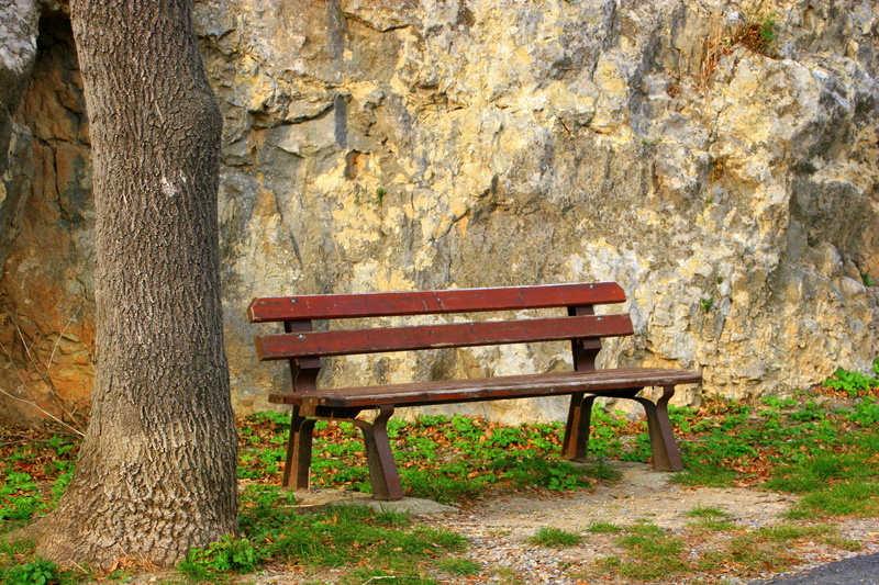 brown, wood - material, growth, plant, alone, quiet, tranquility, park - man made space, outdoors, park, tree trunk, empty, calm, stone wall, leisure, mental health