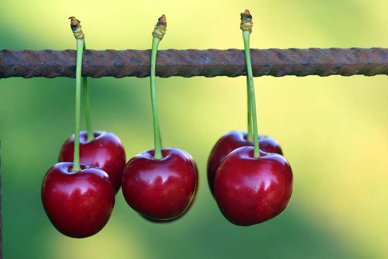 side by side, cherries, food, steel bar, shallow focus, apple - fruit, bar, hanging cherries, beautiful, no People, plant, sweet, outdoors, black, nature