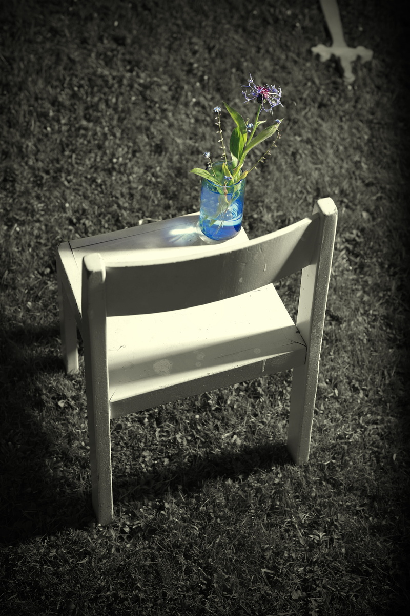 depression, no people, growth, vase, plant, fear, sad, loneliness, flower, despair, absence, light, mystical, sadness, day, blank, bench, land, 4K, plant part