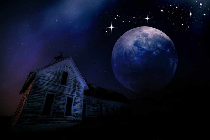 leave, sky, mystical, architecture, star - space, atmosphere, weird, night sky, lonely house, house, mood, wooden, nature, building, starry sky, galaxy