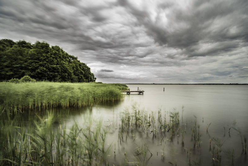 trees, landscape, Berg, field, outdoors, lake, reflection, Deutschland, green, water, river, nature, Rainy Day, Niedersachsen, white, Steinhuder Meer, green grass