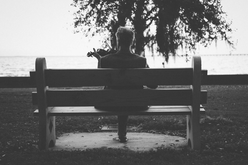 plant, 720P, outdoors, brown, tree, water, rear view, grayscale, person, shot, people, park, musician, music, park - man made space, nature, man, lifestyles