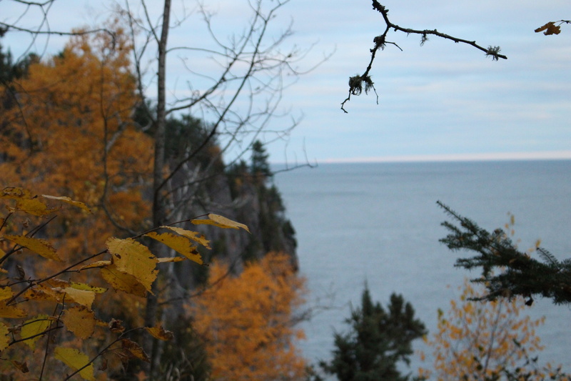 minnesota, focus on foreground, beauty in nature, duluth, sea, 5K, lake, plant, leaf, scenics - nature, north, no people, nature, forest, sky, day, outdoors