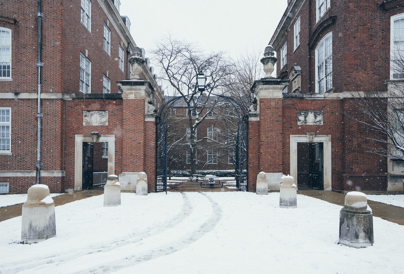 sidewalk, snow, day, tree, brick, university of illinois at urbana-champaign, doorway, 4K, built structure, covering, building exterior, cold temperature