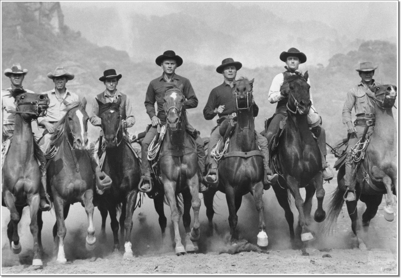 riding, animal wildlife, men, domestic, ride, group of people, Movie, dust, group of animals, livestock, mammal, cowboy hat, people, clothing, hat, cowboy