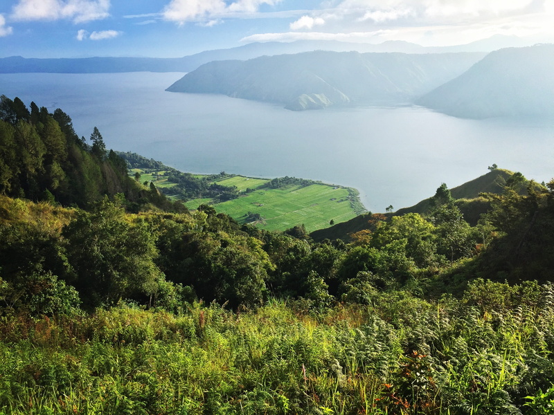 lake, beauty in nature, plant, day, sunlight, land, colorful, growth, 2K, samosir island, landscape, sky, scenics - nature, lake toba, grass, outdoors