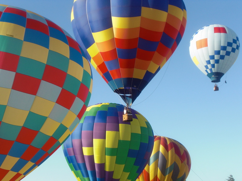 several, air, sport, flying, moving up, ballooning festival, travel, balloons, outdoors, pattern, air Vehicle, floating, nature, hot air balloons, multi Colored