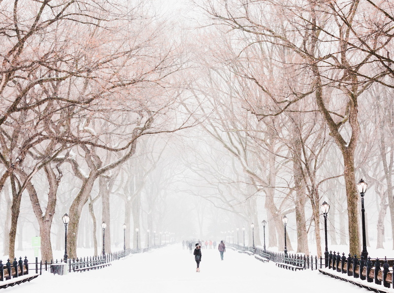 snowstorm, park, york, City, 4K, Snow, Seasons, Trees, newyork, central, new, Urban, Winter, People, centralpark