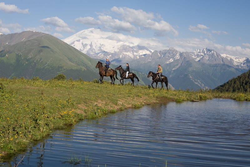 horse karachi, pets, outdoors, riding, 4K, animal, livestock, water, elbrus, group of animals, sky, day, beauty in nature, animal themes, mountain range