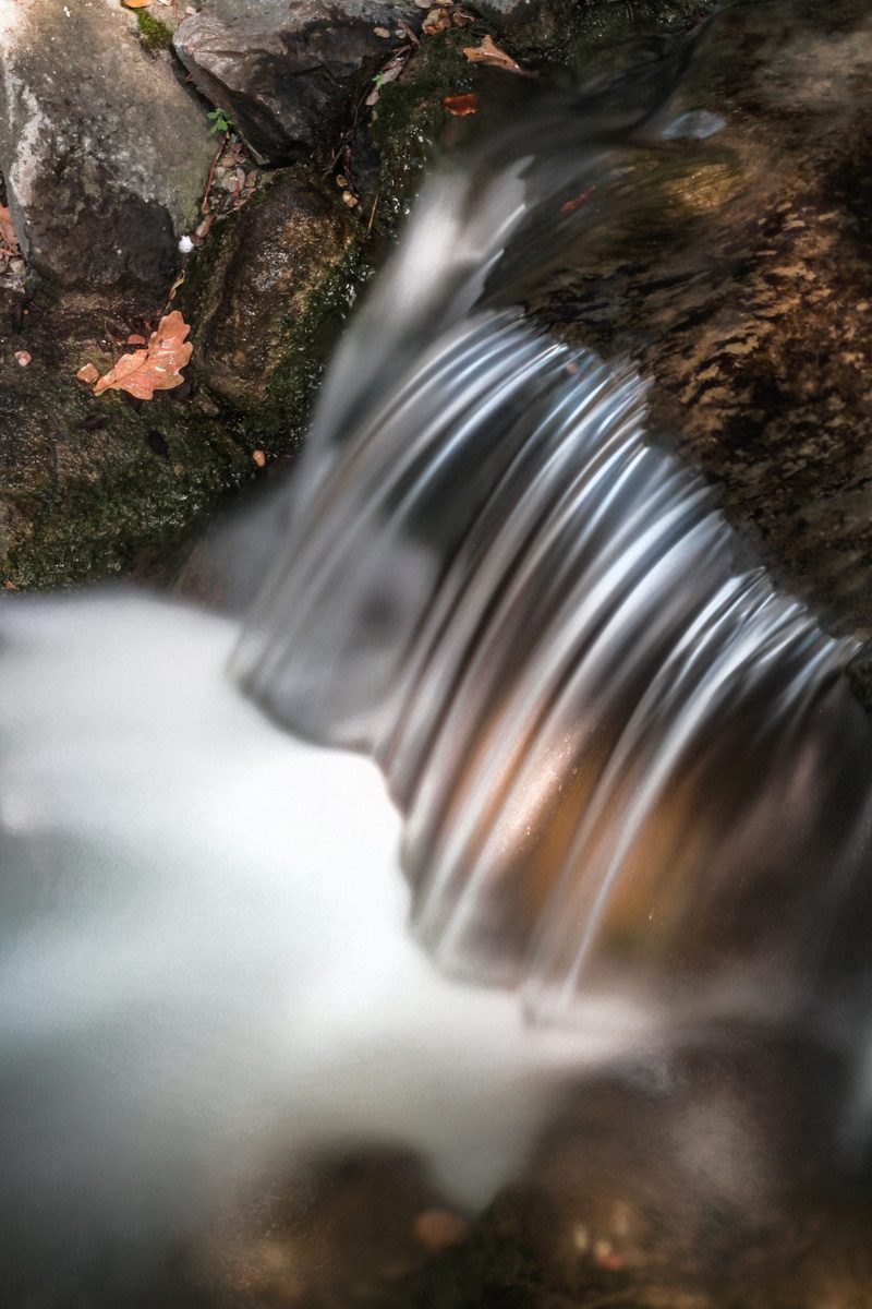 outdoors, photography, motion, stream, spiritual, waterfall, animal, thoughful, yoga, speed, flowing, long exposure, falling water, day, land, blurred motion