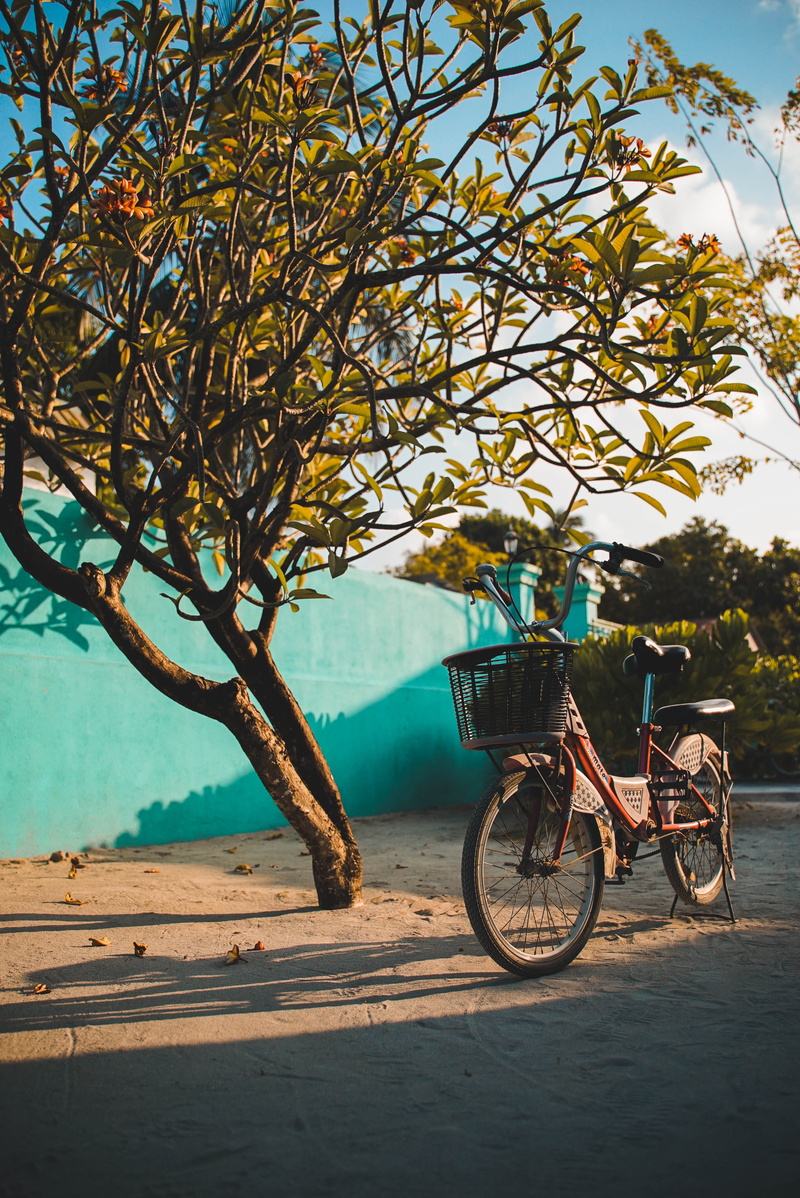 machine, 4K, wheel, vehicle, mode of transportation, flagstone, sky, though, transportation, outdoors, path, sport, city, day, bike, land vehicle, walkway