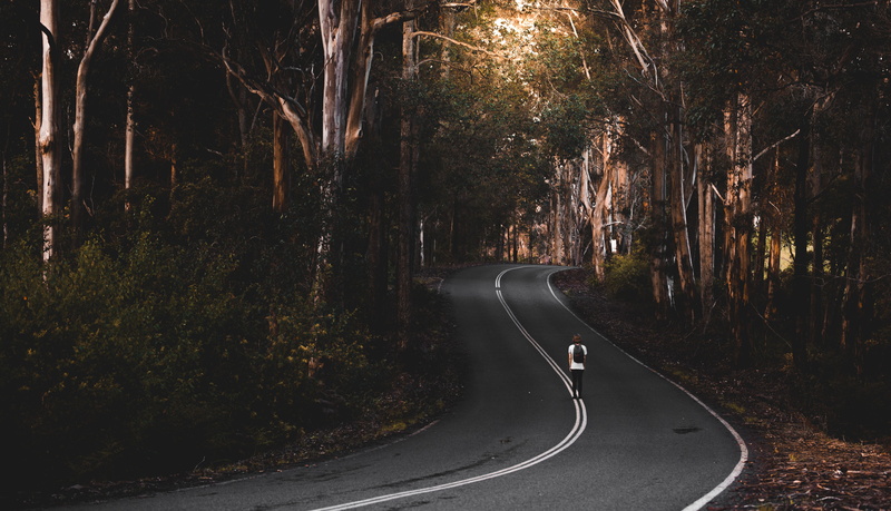 travel, growth, transportation, karri, south west, alone, night, non-urban scene, wanderlust, land, tranquility, the way forward, tree, man, forest, standing