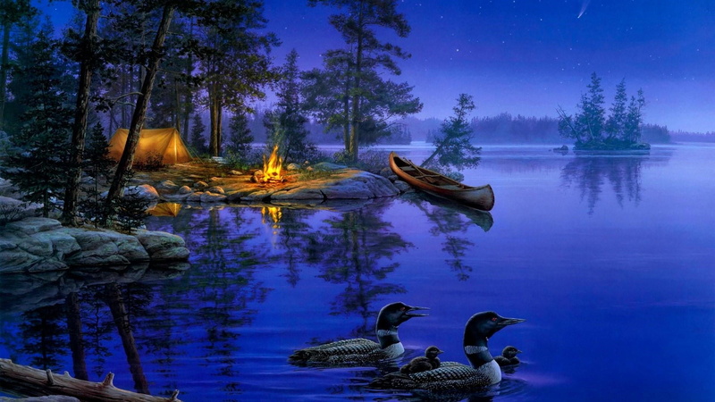 reflection, dusk, scenics - nature, animal, art, night, evening, wilderness, camp fire, plant, illuminated, nature, no people, canoe, non-urban scene, lake