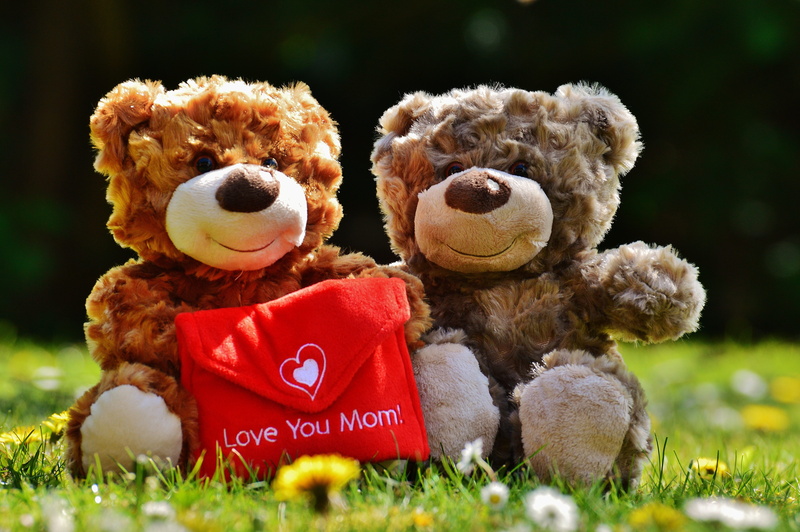 emotion, welcome, field, two, brown, plush, 5K, greeting, mothers day, mama, teddy bear, animal themes, bear, toys, thank you, stuffed toy, connectedness