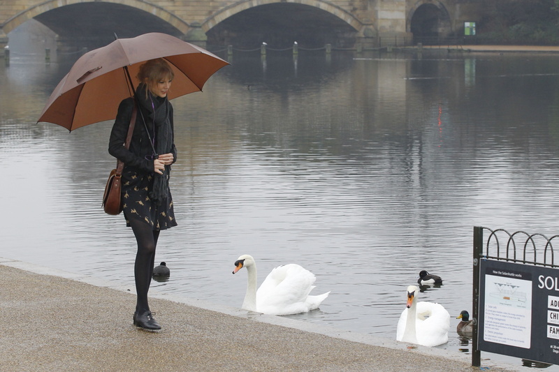 umbrellas, hd, umbrella, 4K, Taylor Swift, swans, women, blondes, london, art, singers, Celebrity, swift, taylor