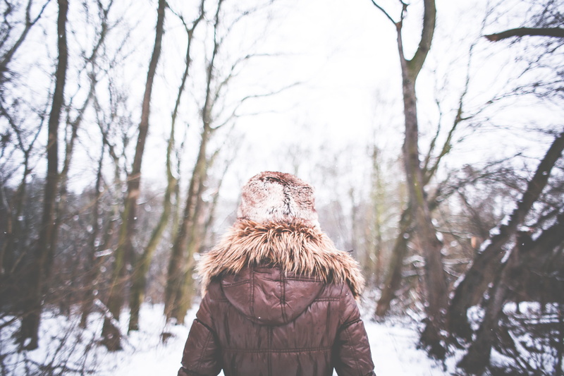 Walking, Girl, people, plant, warm Clothing, 5K, nature, hat, one Person, cold, bare tree, caucasian Ethnicity, leisure activity, Snowy, cold temperature