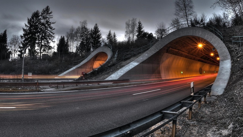 no people, transportation, speed, tunnel, night, bridge, built structure, city, bridge - man made structure, light trail, light trails, surrounded, photography
