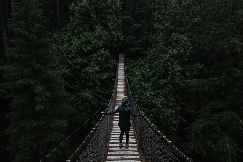 people, brown, 5K, nature, man, architecture, one person, landscape, rope, diminishing perspective, tree, bridge, bridge - Man Made Structure, full length