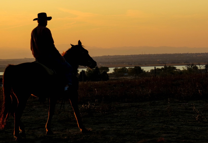 sunset, western, 2K, nature, vertebrate, ride, animal, herbivorous, livestock, land, cowboy, outdoors, hat, horseback Riding, domestic animals, man, sky
