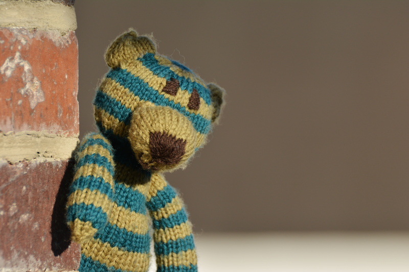reptile, one animal, one person, animal wildlife, 5K, photography, loneliness, toy, keep an eye out, animal head, indoors, alone, childhood, wool, teddy bear