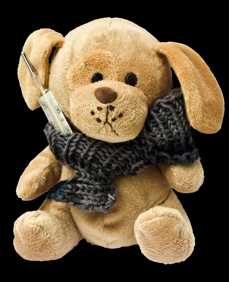 toy, knuffig, studio Shot, cold, cute, stuffed Toy, black background, brown, softness, creativity, gray, Stuffed Animal, medical, close-up, scarf, animal representation