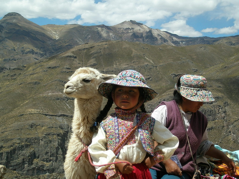 herbivorous, mountain range, domestic animals, Peru, landscape, mountain, holidays, women, domestic, nature, asia, real people, mammal, livestock, Andes