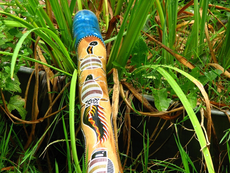 australia, animal, close-up, high angle view, 2K, blowgun, human body part, green color, body part, didgeridu, nature, growth, grass, painting, didgeridoo