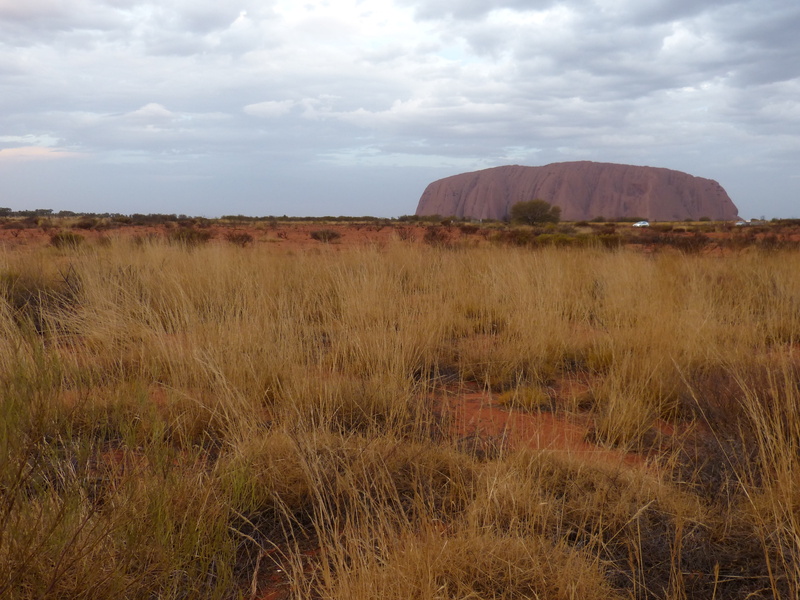 4K, environment, tranquility, non-urban scene, arid, land, day, outback, beauty in nature, drought, rock, dry, dusk, grass, plant, field, mountain, cloud - sky