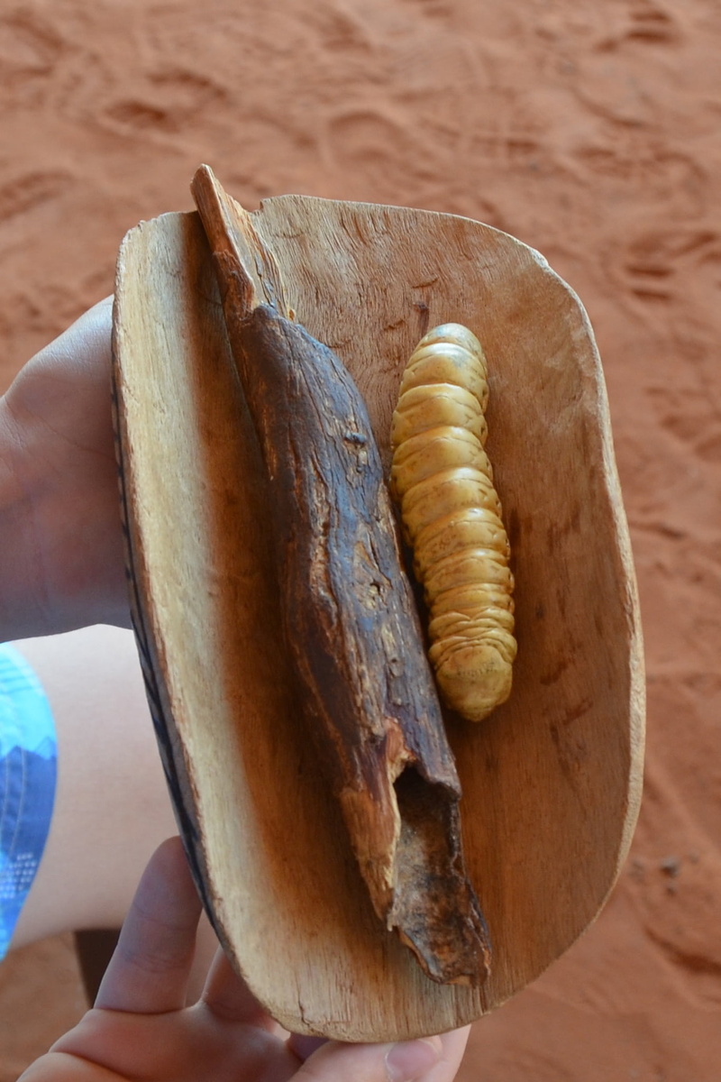 lifestyles, food, native, bushtucker, high angle view, body part, hand, close-up, aboriginal, finger, food and drink, holding, 1080P, human hand, witchetty grub