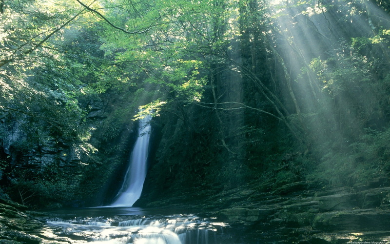 beautifull pictures of nature 1920x1200, 1080P