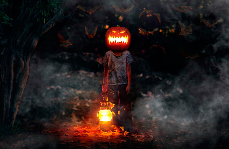 light, jackolantern, Holidays, fire, nature, glowing, art and craft, lantern, jack, illuminated, Night, Halloween, lighting equipment, heat - temperature