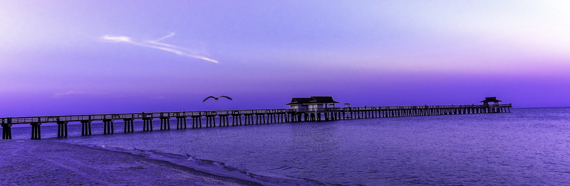 water, bridge, Mexico, animal, clouds, gulf, watch, natural, ocean, love, outdoor, bird, beach, sunrise, pier, house, 5K, nature, Awake, sky, animals