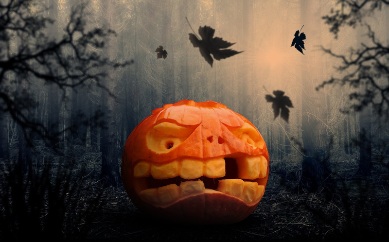 gourd, carved, cut out, edible, pumpkin, large, outdoors, faces, autumn, autumn fruits, o, fear, choose, food, gloomy, food and drink, 4K, tree, orange