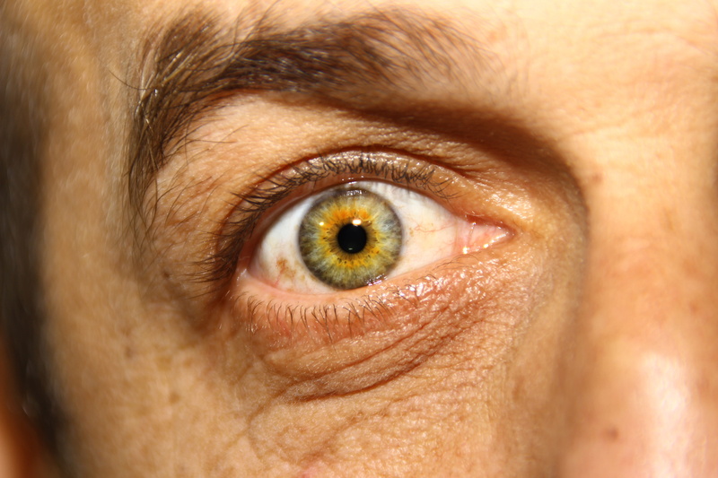 eyesight, body part, looking, close-up, macro, 5K, human Eye, sensory perception, image, human Face, women, looking at camera, View, eyebrow, human body part
