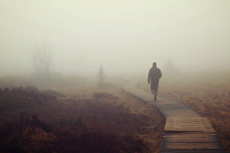 tree, nebellandschaft, walking on, marsh, landscape, nature, fogs, outdoor, moor, boardwalk, wooden boards, tranquility, rear view, weird, eifel, beauty in nature
