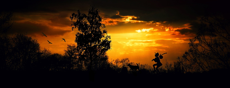 sky, abendstimmung, clouds, grasses, mystical, evening, evening sky, vertebrate, animal themes, tree, wandersmann, animal, walk, mood, silhouette, walking