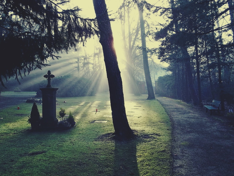 mystical, shadow play, autumn, sunlight, bill, gloomy, gespenstig, sun, outdoors, tranquility, graves, beauty in nature, no people, light, tombstone, mourning