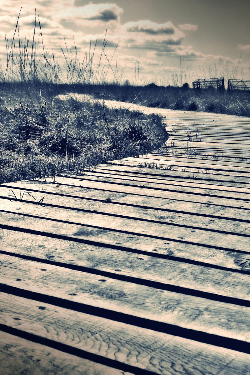 beauty in nature, covered, winter, dock, cold temperature, thunderstorm, swampy, moor, clouds, snow, shadow, mood, boardwalk, fieldds, lonely, landscape