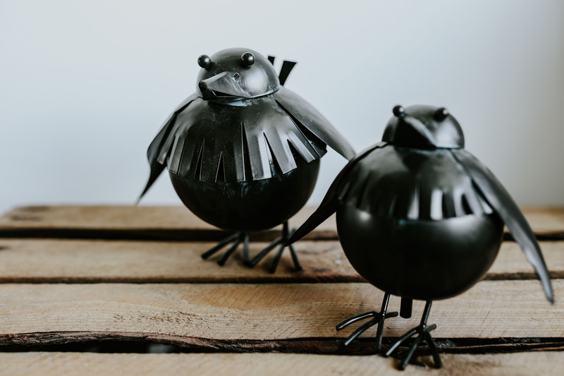 animal themes, shelf, vertebrate, food, decorations, 5K, toy, full length, Little black, black color, bird, one animal, indoors, focus on foreground, kettle
