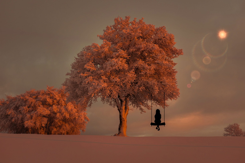 girl, growth, silhouette, one person, tranquil scene, person, silhouetted, weather, sunset, lifestyles, cold, season, swing, tree, woman, dawn, solitude