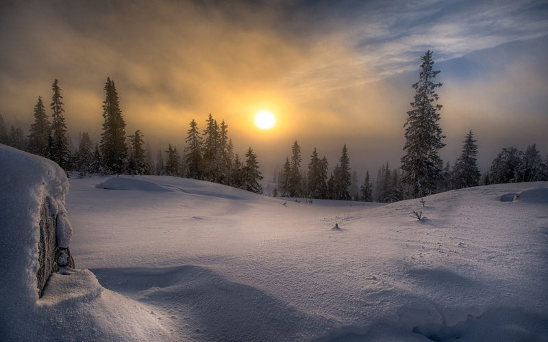 1080P, powder snow, white color, no people, environment, tranquility, winter, cloud - sky, sunset, cold, scenics - nature, deep snow, pine trees, snow