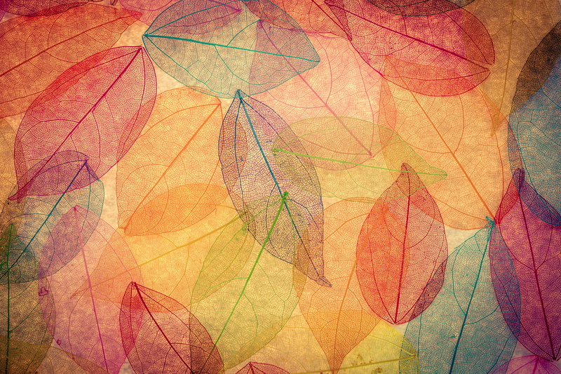 blue, autumn, plant, color Image, art and craft, art, textured, orange, decoration, nature, backgrounds, multi Colored, full frame, orange Color, brown