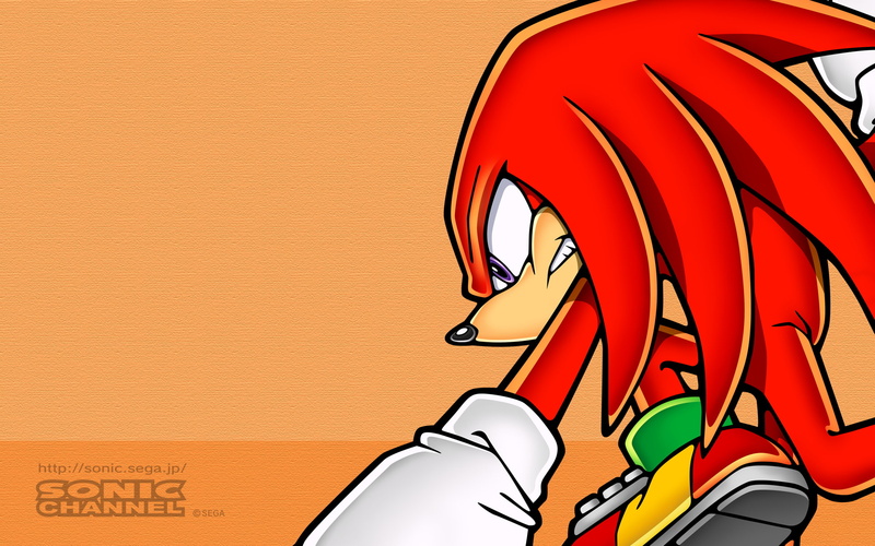 Sega, red, 1080P, Knuckles, representation, human body part, art and craft, communication, script, human representation, text, real people, day, western script