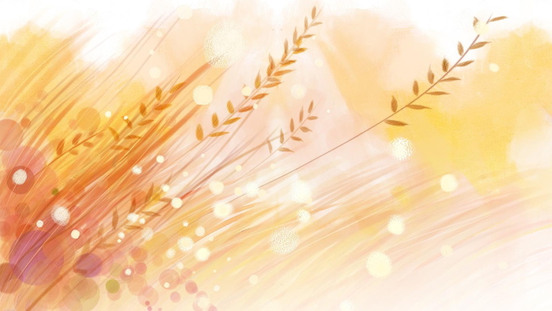 autumn, colors, fall, firefox persona, gold, harvest, 3d and abstract, october, orange, wheat, 1080P, bokeh