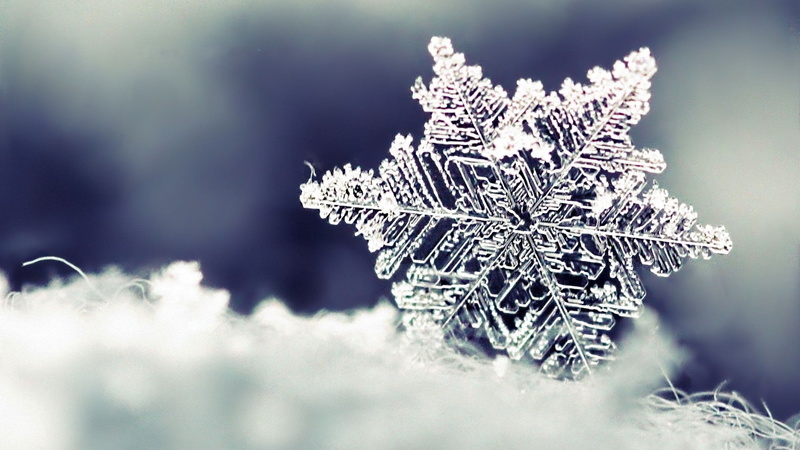 winter, shape, ice, 1080P, ornate, copy Space, celebration, extreme close-up, glitter, frozen, defocused, cold temperature, digital composite, crystal