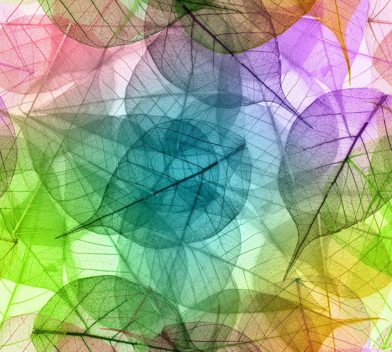 colors, decoration, outdoors, 5K, pattern, computer Graphic, shape, design, green, abstract, no people, futuristic, green Color, close-up, creativity