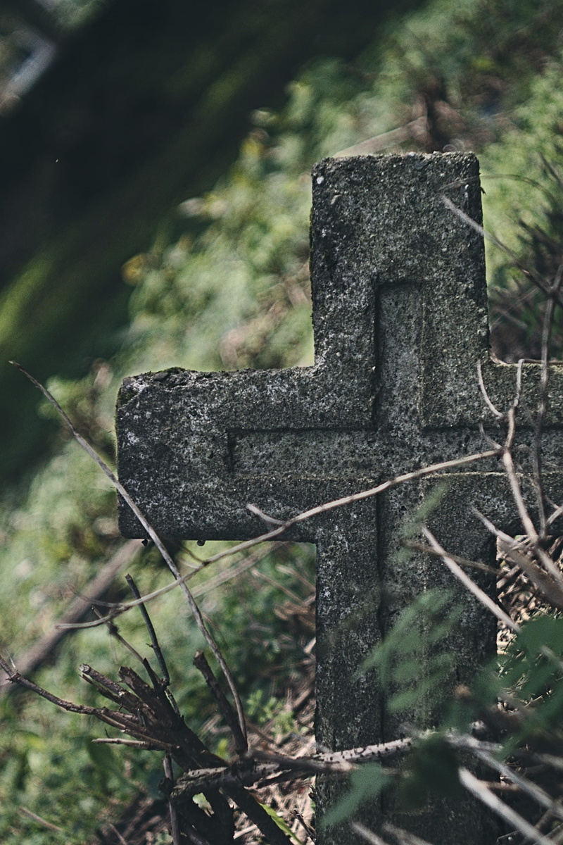 plant, close-up, focus on foreground, stone, ukraine, tombstone, outdoors, grimly, dark, no people, grave, somber, kolomyya, gray, bokeh, cemetery, nature