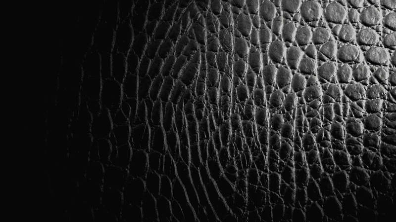 dark, nature, animal scale, crocodile, studio shot, brown, extreme close-up, textured Effect, texture, material, backdrop, animal themes, close-up, leather
